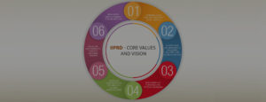 IIPRD Core Values and Vision