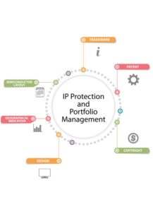 IP Protection and Portfolio Management