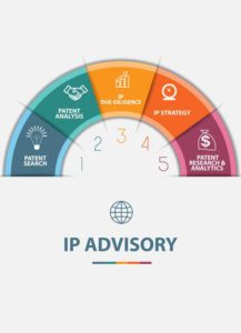 IP advisory