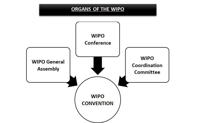 organs of wipo