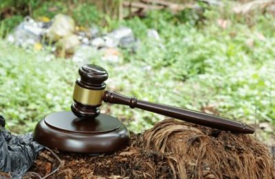 Forest Law